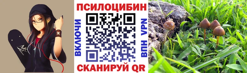 Галлюциногенные грибы Magic Shrooms  Купить где  Корсаков 
